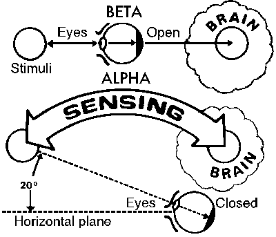 Mental Screen Technique.png