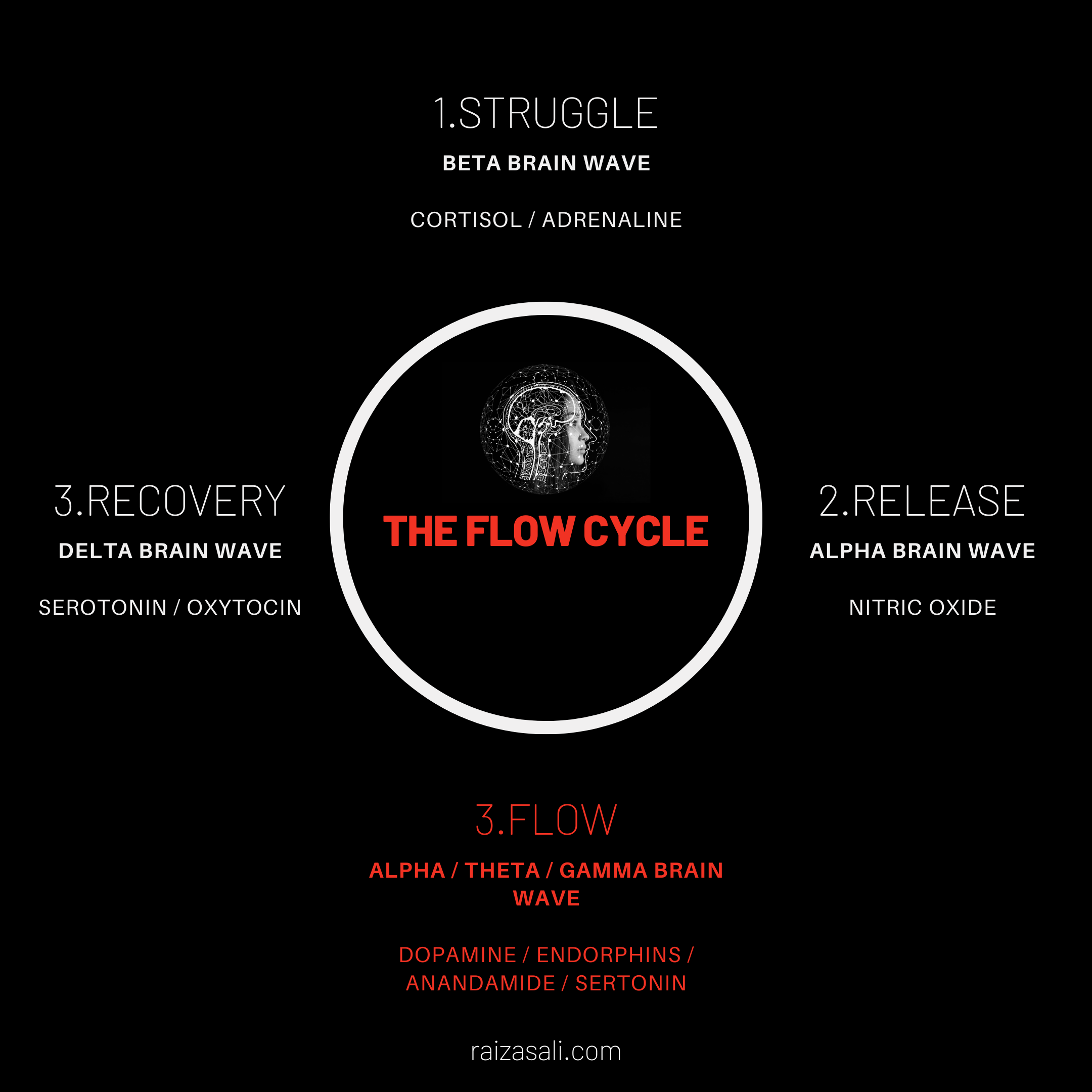 flow cycle.png|400